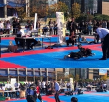 제 17회 전국특공무술대회 현장